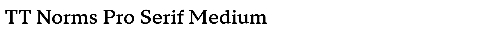 TT Norms Pro Serif Medium image